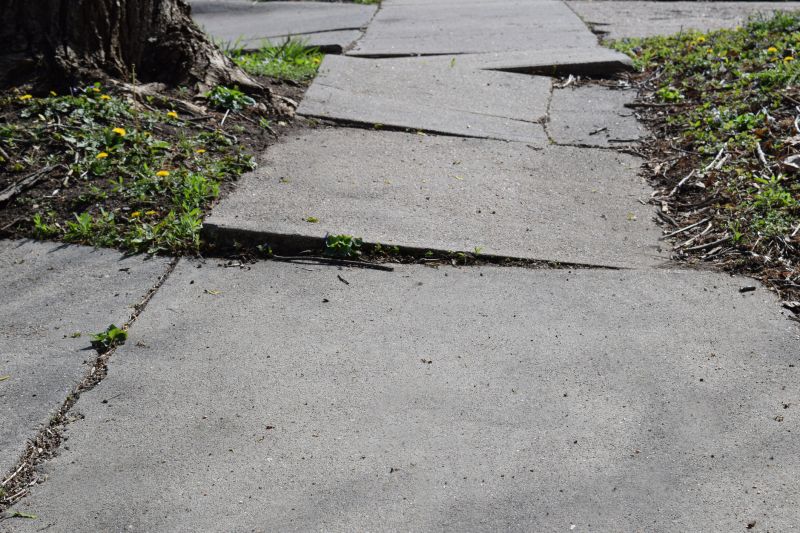 Damaged Sidewalk Cracks